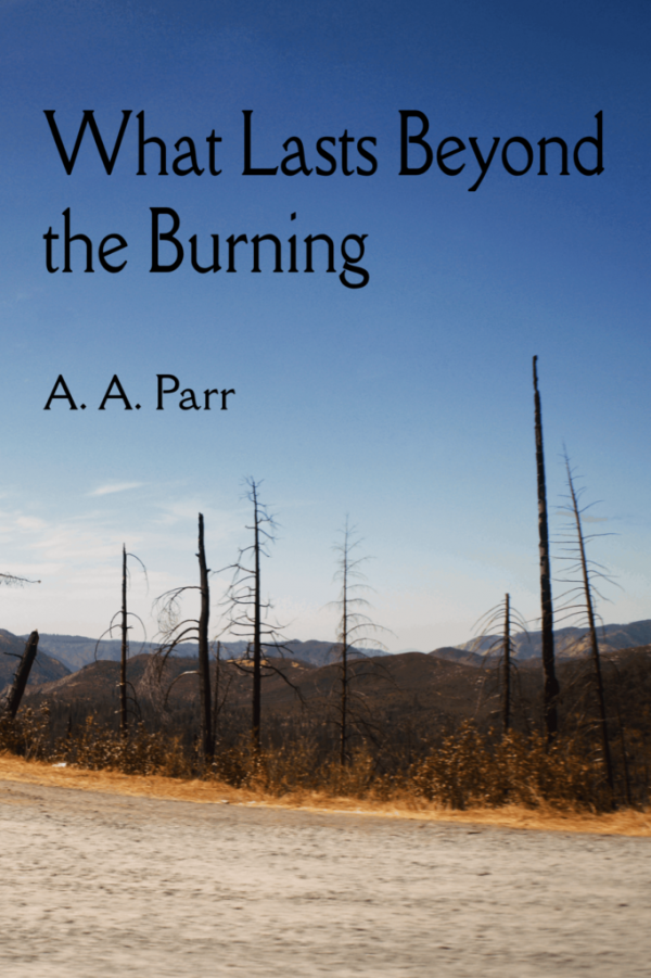 What Lasts Beyond the Burning cover
