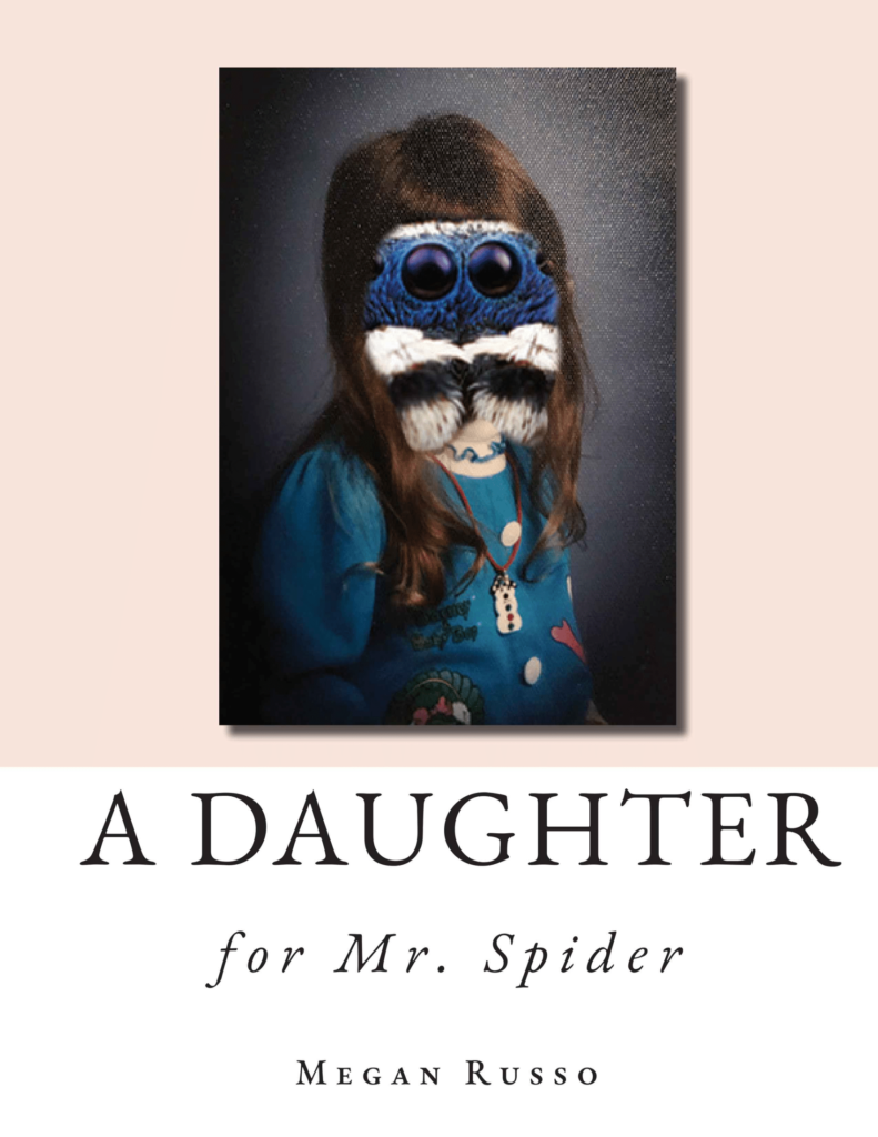 A Daughter for Mr. Spider cover