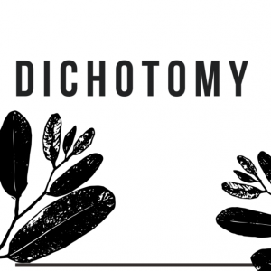 Dichotomy cover