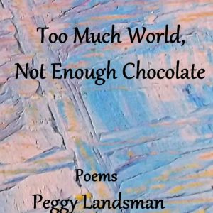 Too Much World, Not Enough Chocolate - cover